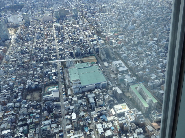 展望デッキから